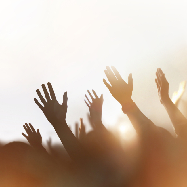 iStock-2229178976.jpg