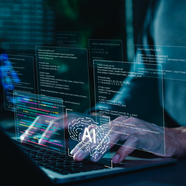 web 3005/2026