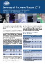 Summary of the Annual Report 2013