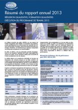 Summary of the Annual Report 2013 - FR