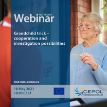 Webinar 15/2021: Grandchild trick – cooperation and investigation possibilities