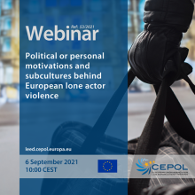 Webinar 53/2021: Political or personal motivations and subcultures behind European lone actor violence