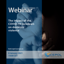 COVID-19 Webinar (No18): The impact of the COVID-19 lockdown on domestic violence